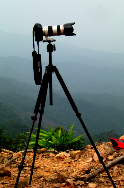 �����ڹ�������