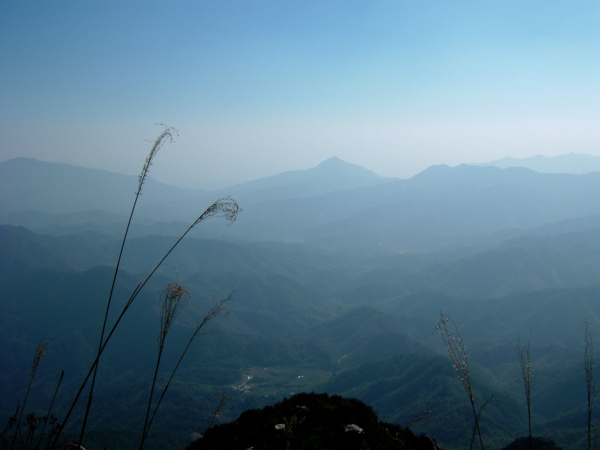 �Ƕ����Ⱥɽ