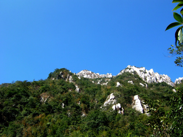 �Ƕ���Ŀ��