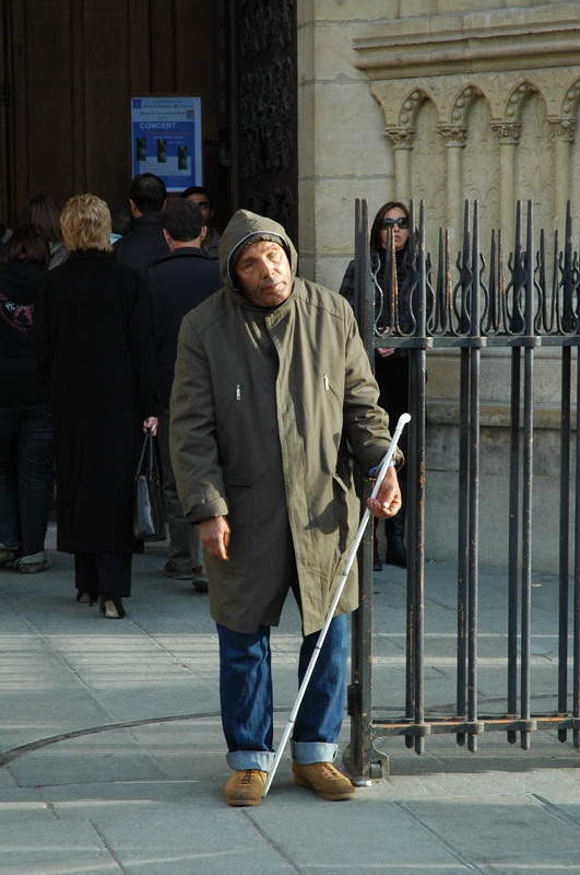 ����ʥĸԺ����������ؤ