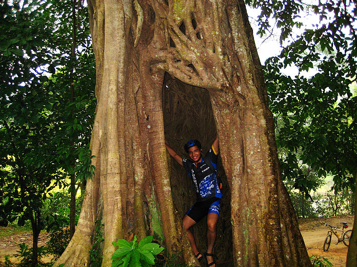 ������ô����������ֳ������ã���˵��һ��һĸ�ء�