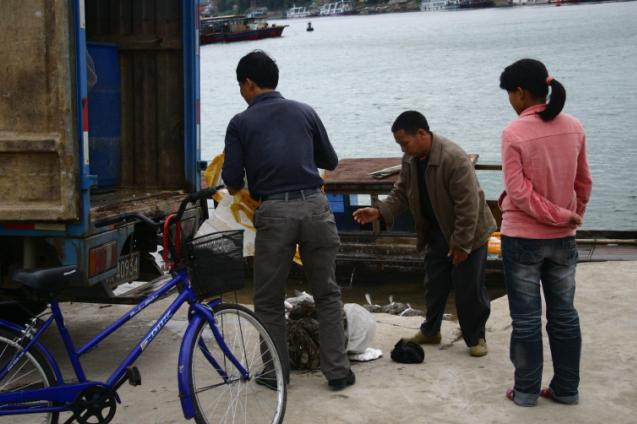 ��ͷ�����ڽ���,"��������"