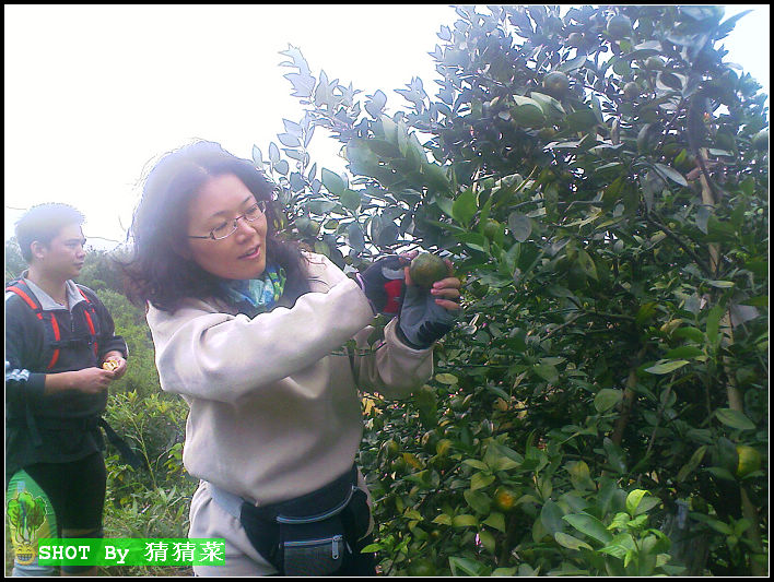 �������ڼ����У�d�����е���Ƥ����������