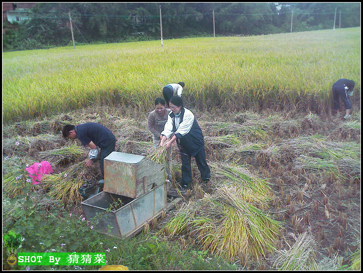 �����ִ��