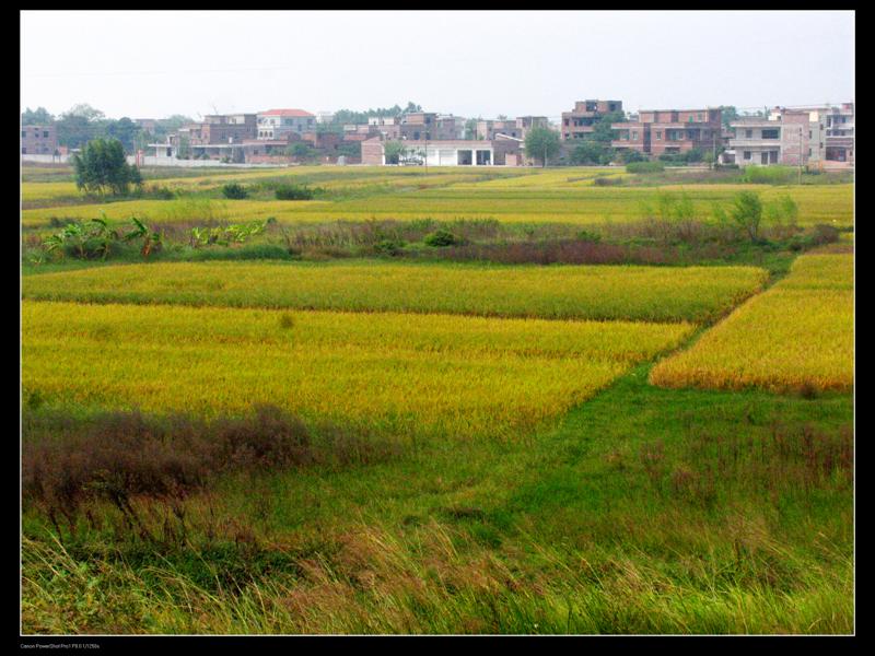 ���� ��Զ��վ (��).JPG