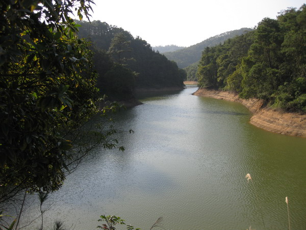 ������ӭ��ˮ��