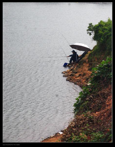 IMG_7084 (��).JPG