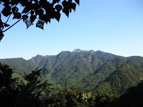 ��¥������