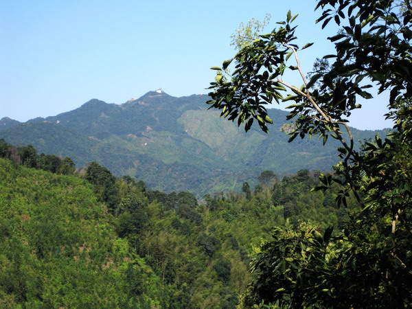 ң������802�׵���ü��