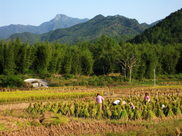 Ρ��ı�¥����֤��һ���ջ�ļ���