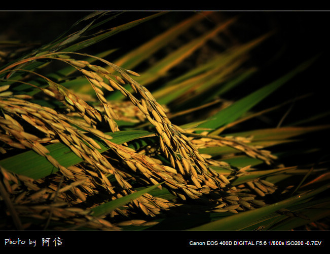 ��Ƭ 0092222.jpg