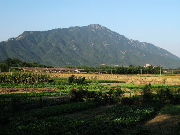 Ρ����ʵĴ�ñɽ