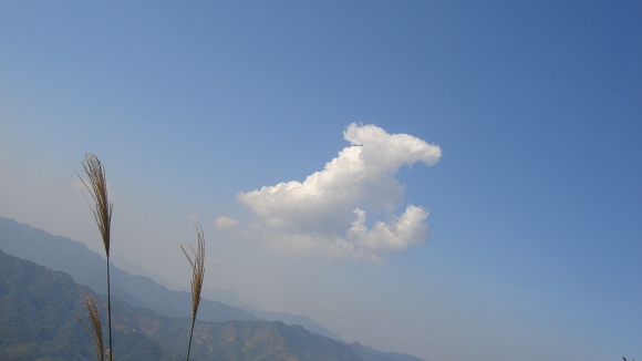 ��Ծ�ڴ�ñɽ�۵İױ�