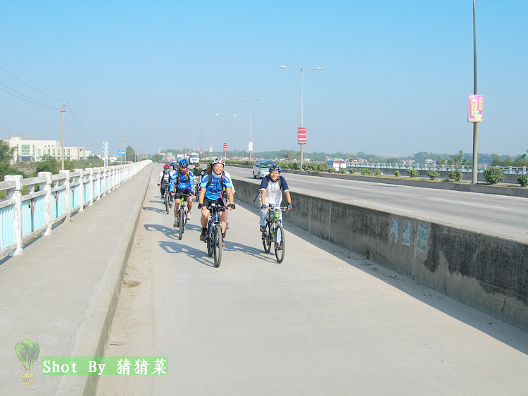 xx���ţ��������У����п��֣�