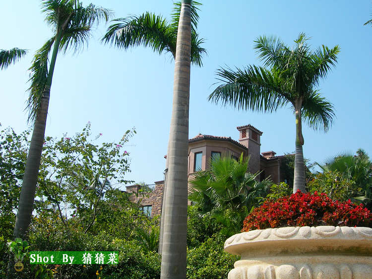 С��˵���Ǹ���ŷ�����