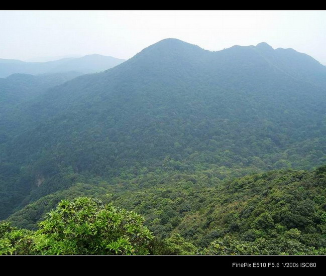 ��������ɽ