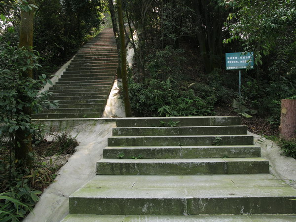 ����һ�����޵�ɽ·�س�