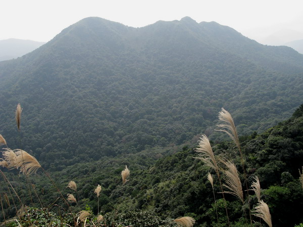 ����ɽ�ڶ���