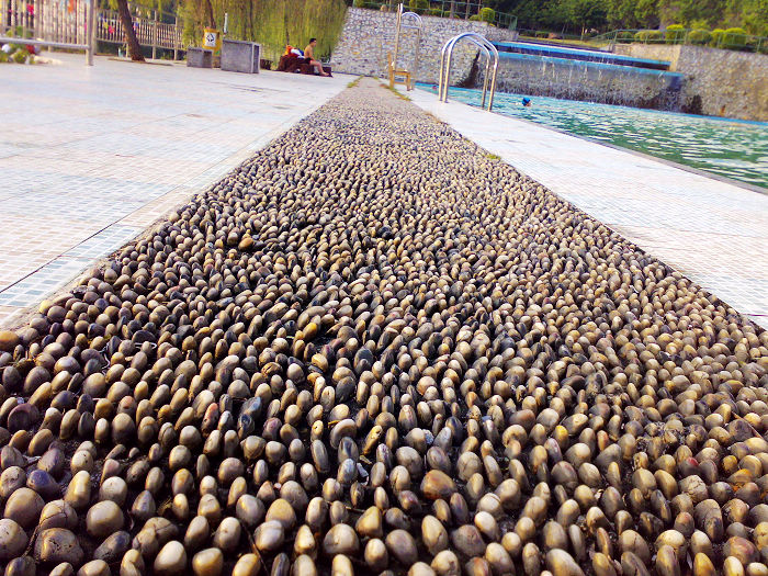 ������װ�Ħ��ʯ�����о�һ����