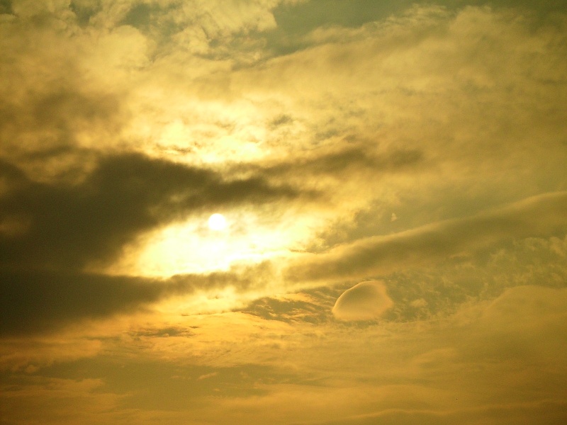 �ټ�������