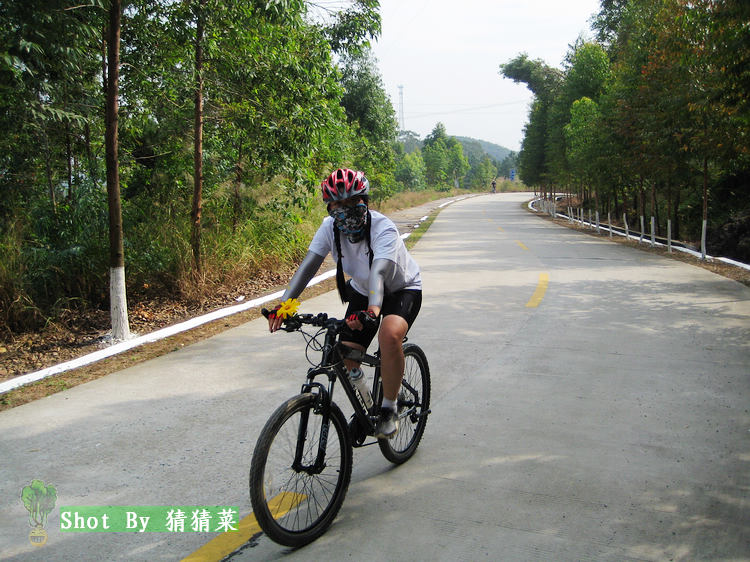 �������ػ�