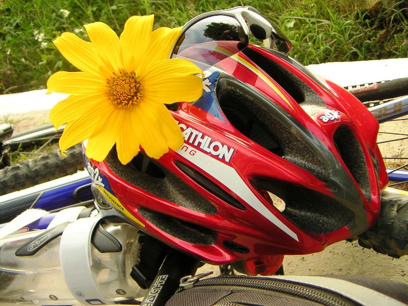 װ��һ���ҵ�ͷ����