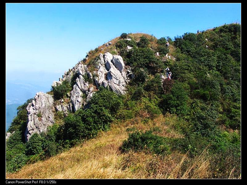 IMG_7174 (��) (��).JPG