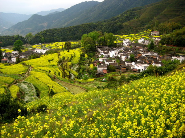 �����Ͳ˻�