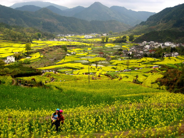 �����Ͳ˻�