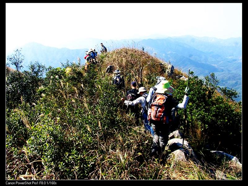 IMG_7189 (��) (��).JPG