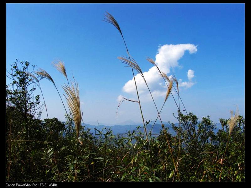 IMG_7171 (��) (��).JPG