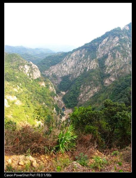 IMG_7135 (��) (��).JPG