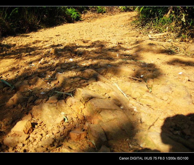 ���˴�����Ĵ��·