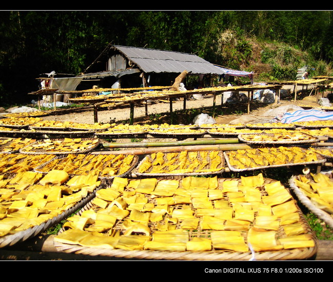 ��������������