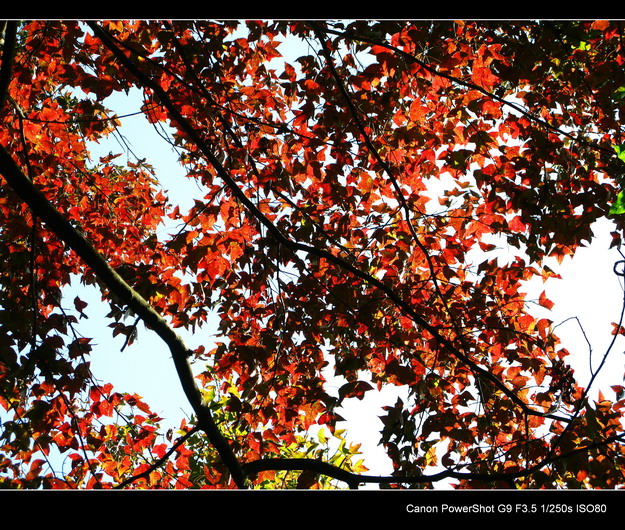 ����ɽ���㾰�续