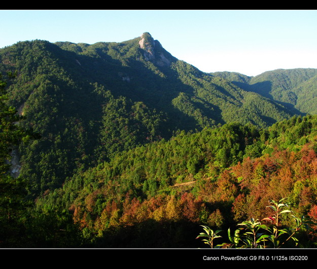 ����ɽ��ɫ