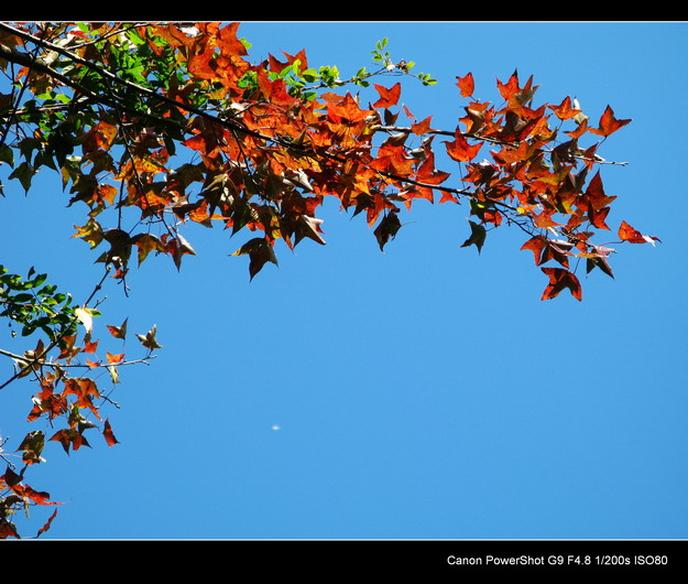 ����ɽ���㾰�续