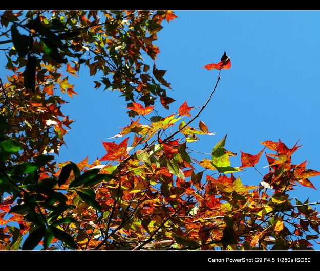 ����ɽ���㾰�续