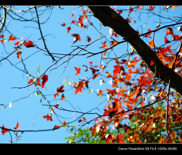 ����ɽ���㾰�续