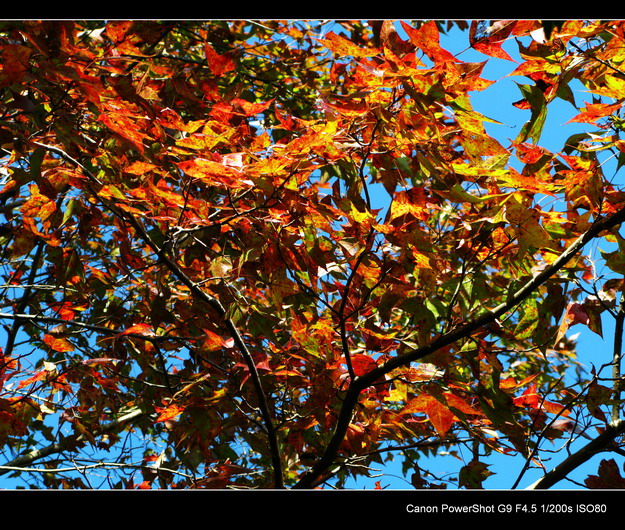 ����ɽ���㾰�续