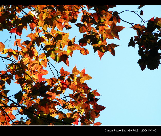 ����ɽ���㾰�续