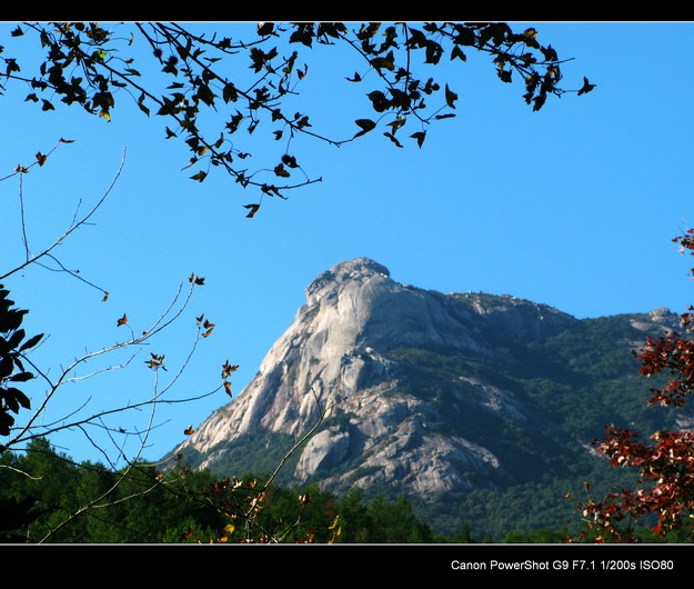 ��������ɽ�۷�