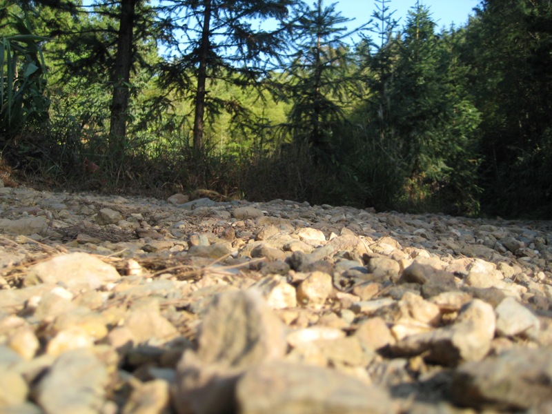 ����ϸ�� ·��