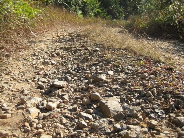 ϸ��·�棬����