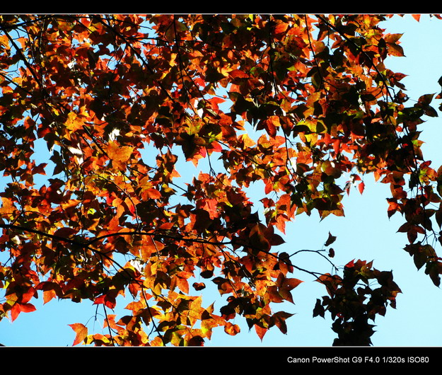 ����ɽ���㾰�续