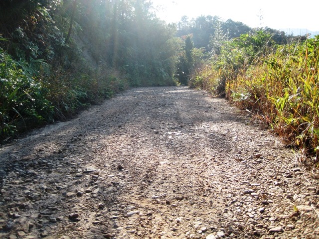 �����ʰ�������