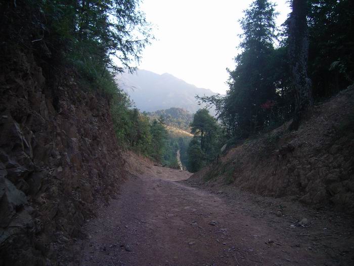 ɽ�Ǳߵ�����