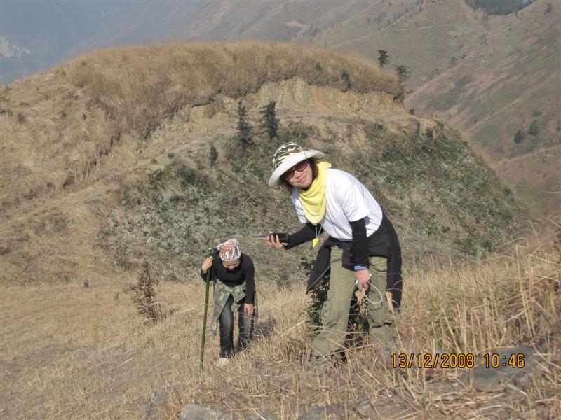 �����ڿ�ĸ��