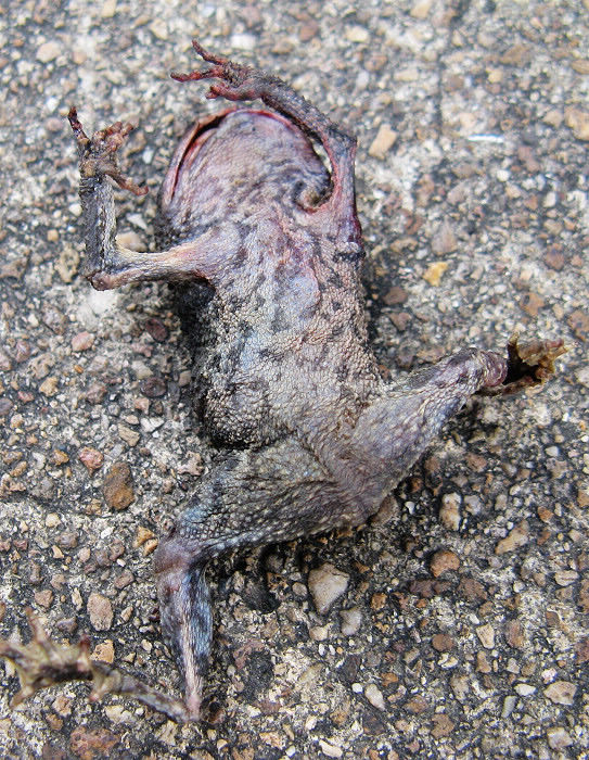 �������ý�����......