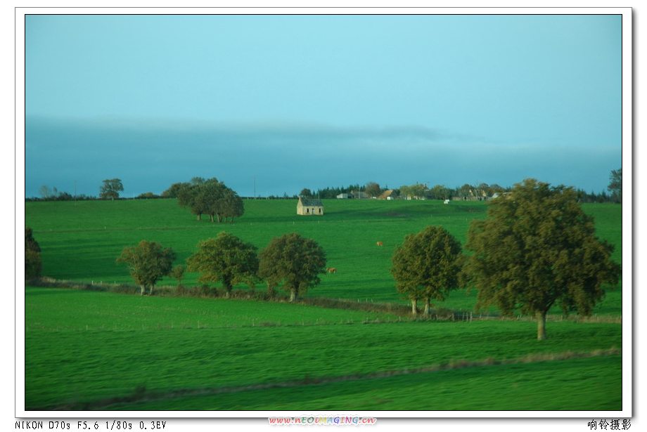 ��������·�ϣ� �տ�����Ұ���ѵü�����Ӱ�ڸ���